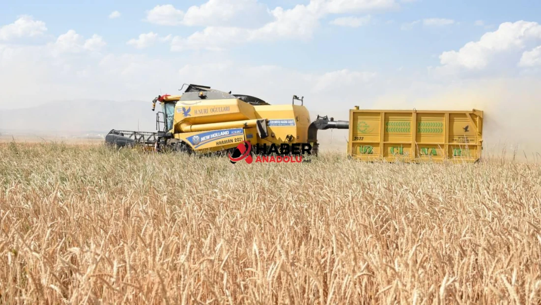 Girişimcilere 114,4 milyon lira hibe aktarıldı