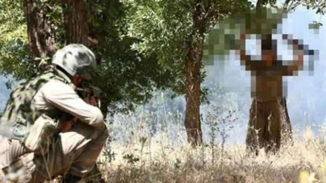 2 PKK'lı terörist teslim oldu