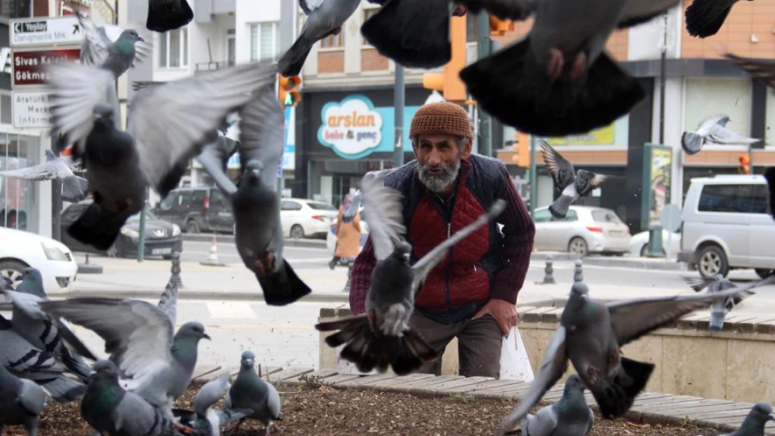 8 asırlık camide 17 yıldır kuşlara babalık yapıyor