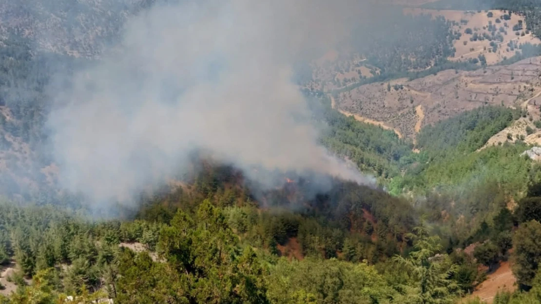 Adana'daki orman yangına 6 helikopter, 2 uçak ve yüzlerce personel ile müdahale ediliyor