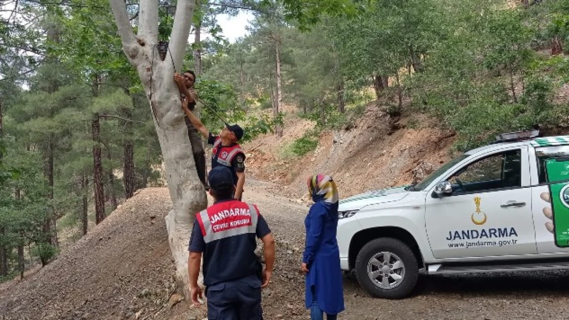 Aladağlar Milli Parkına fotokapan desteği