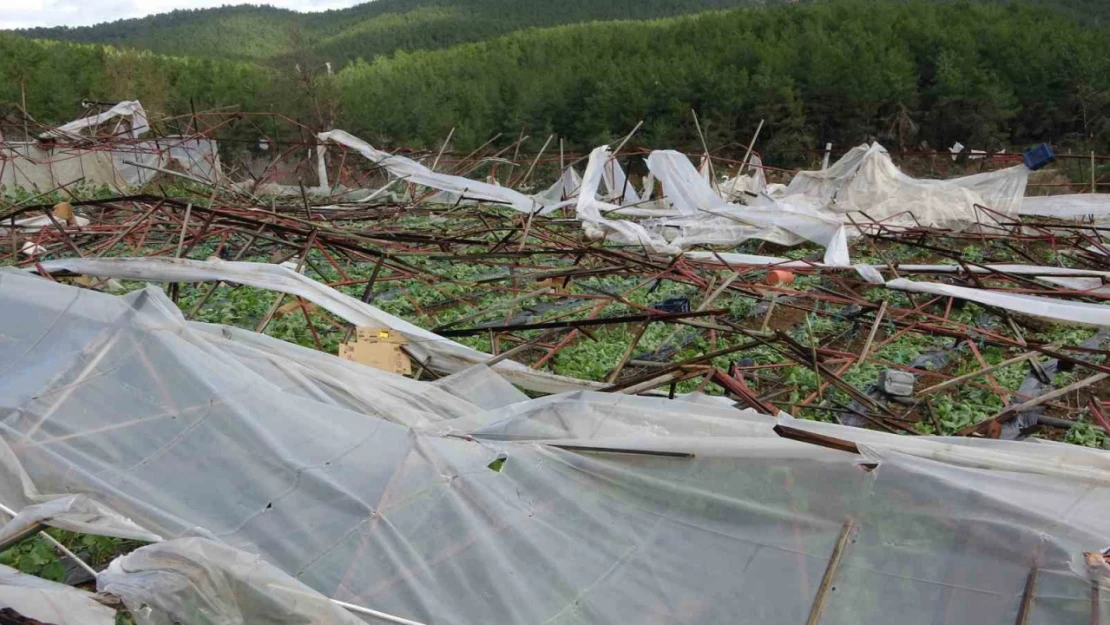 Alanya'da hortum 250 dönümden fazla seraya zarar verdi