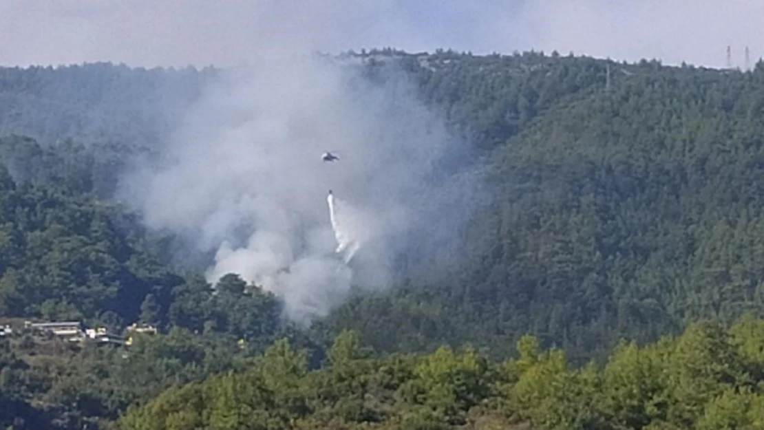 Alanya'da orman yangını