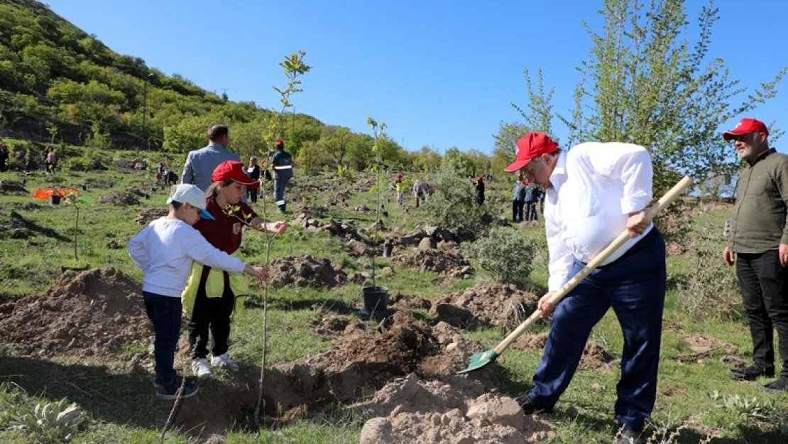 Ali Dağı'na fidan dikimi