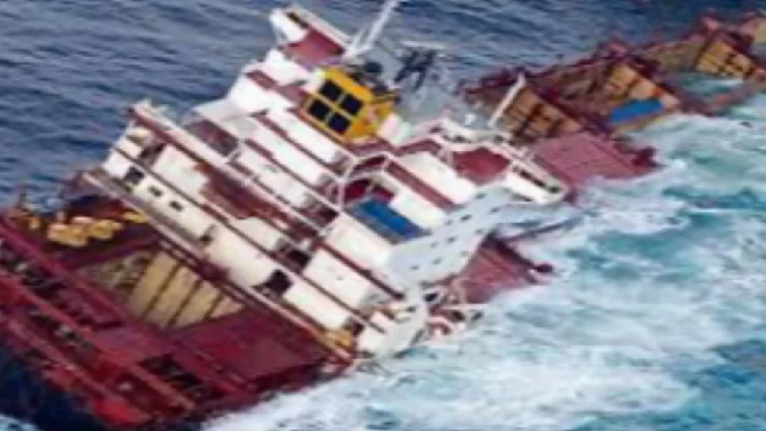 Avusturya'da yolcu gemisi Tuna Nehri'ndeki beton duvara çarptı: 11 yaralı
