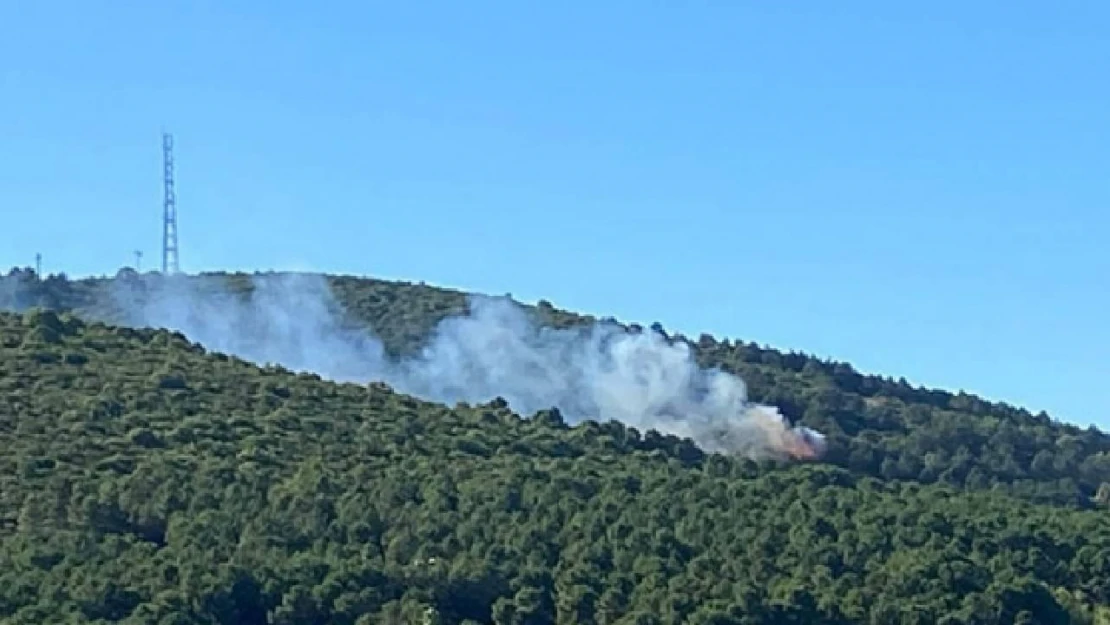 Aydos Ormanı'nda yangın