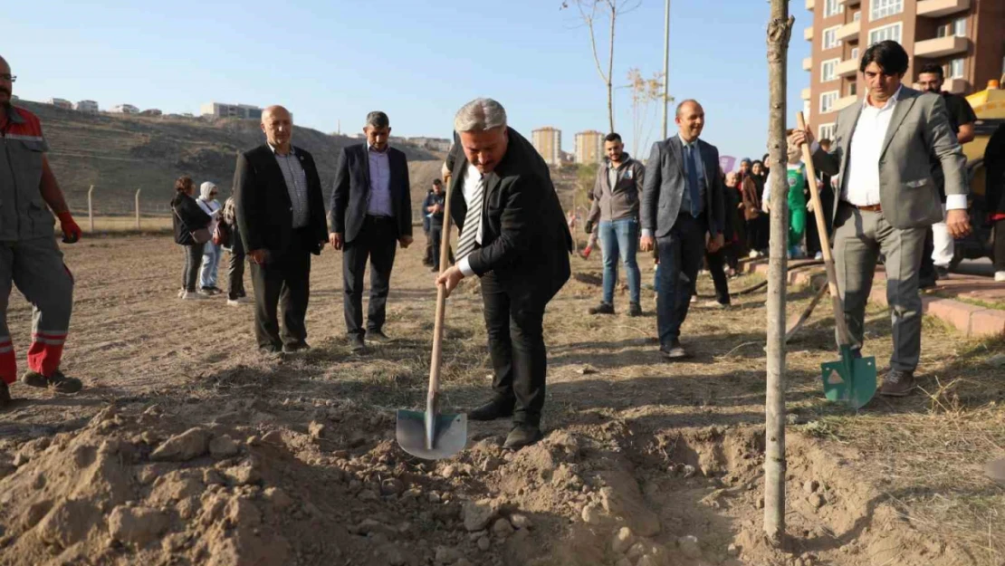 11 günde 10 bin ağaç dikilecek.