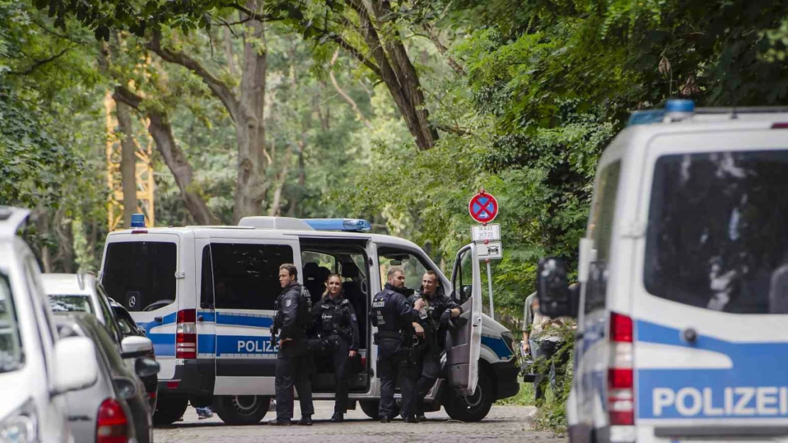 Berlin'de kaçak aslanı arama çalışmaları devam ediyor