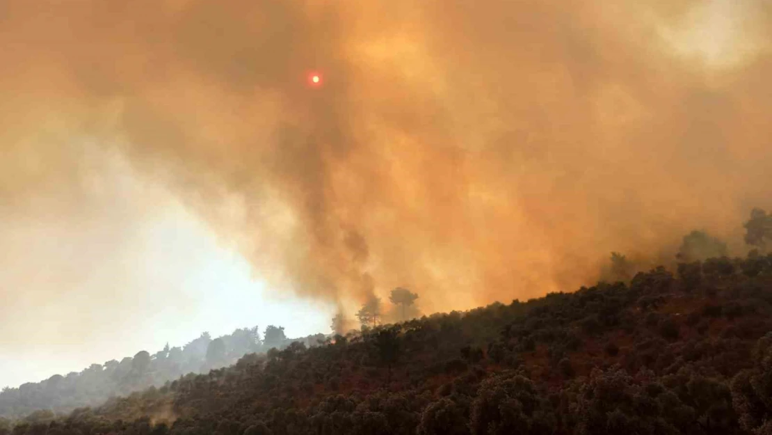 Bodrum'daki orman yangınına havadan ve karadan müdahale sürüyor