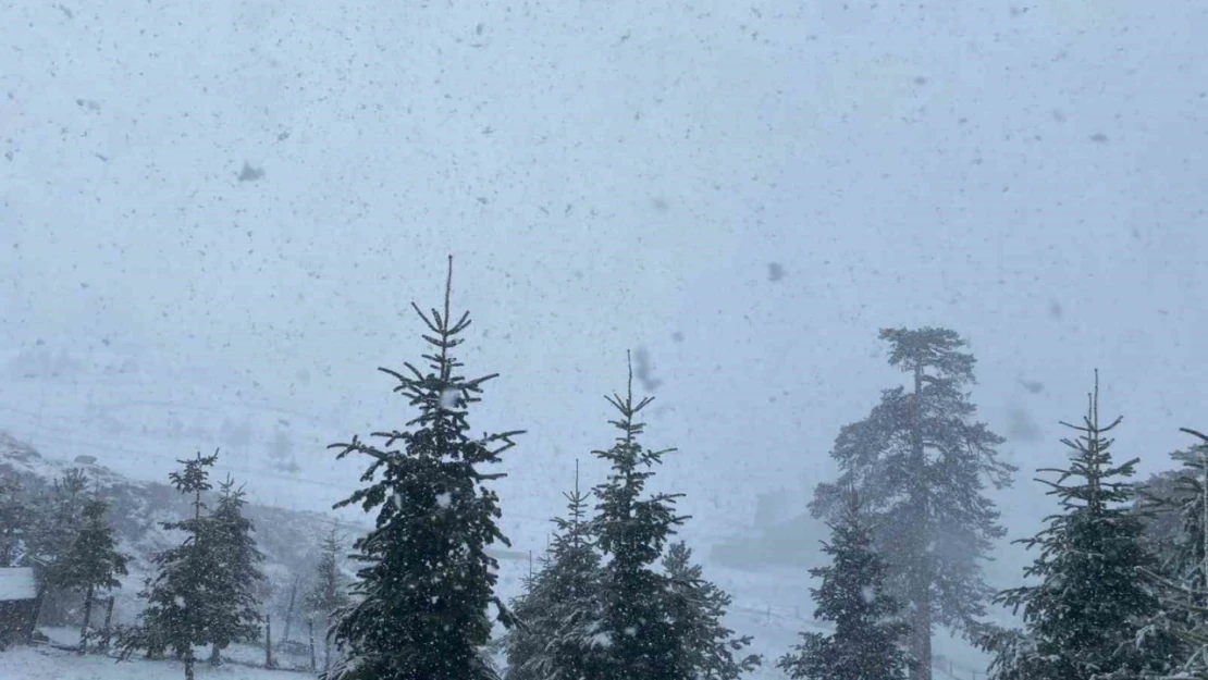 Bolu'da Nisan ayında lapa lapa kar yağışı