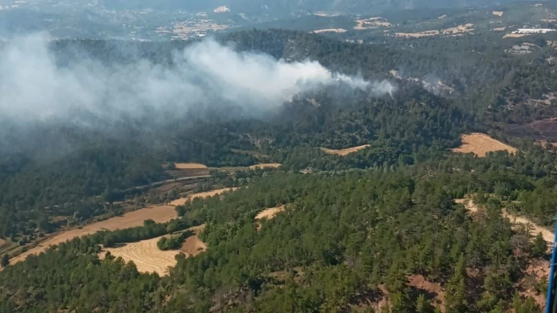 Bolu'daki orman yangınına helikopterler havadan müdahale ediyor