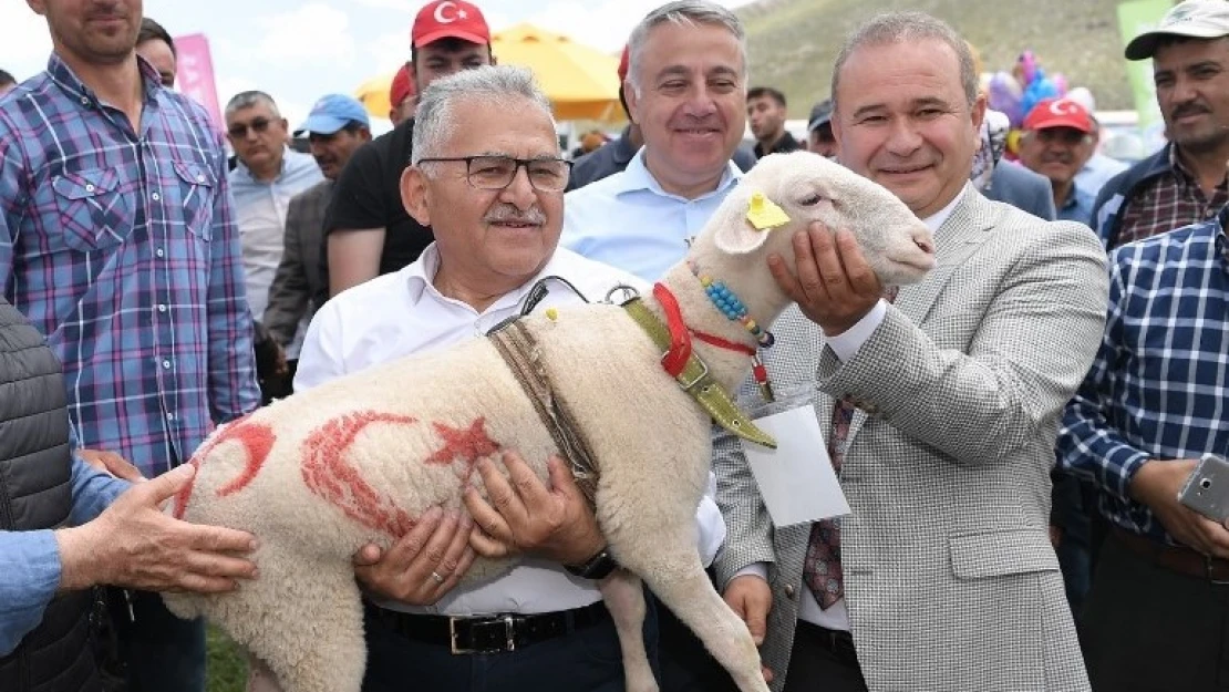 Büyükşehir'den Akkışla'ya süt işleme tesisi