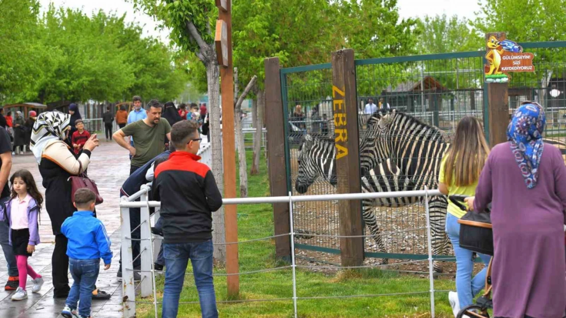 Büyükşehir Hayvanat Bahçesi Kurban Bayramı'nda ücretsiz