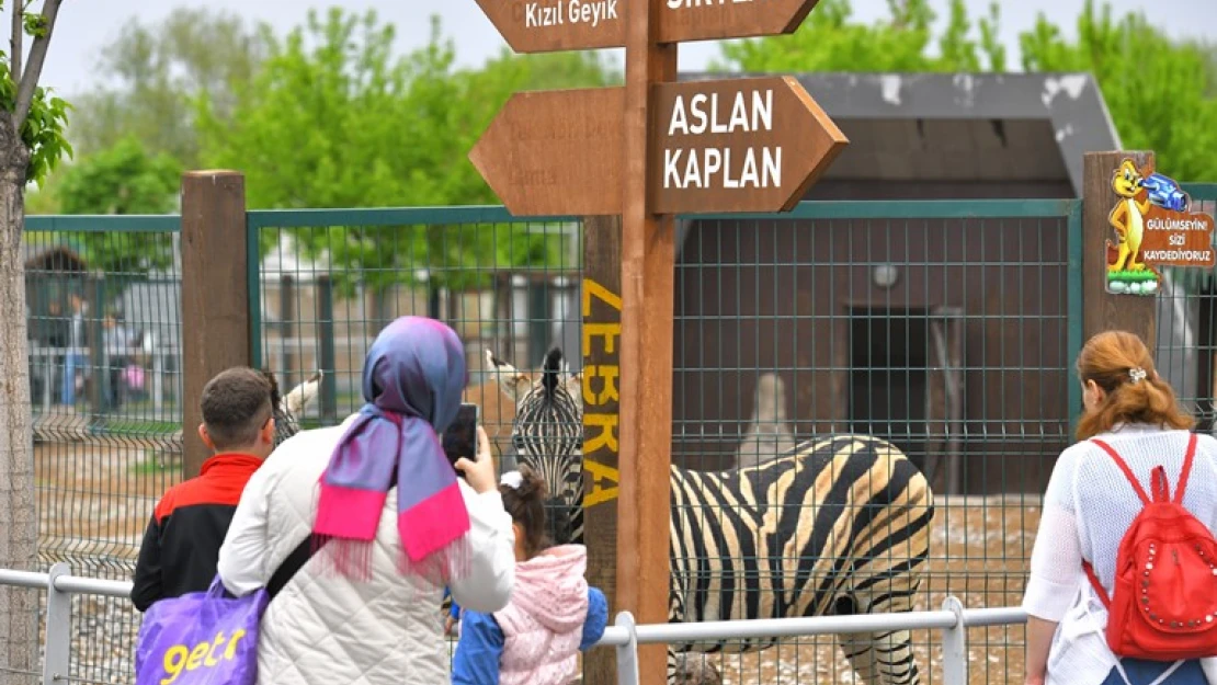 Büyükşehir'in Hayvanat Bahçesi'ne 3 günde 50 bin ziyaretçi