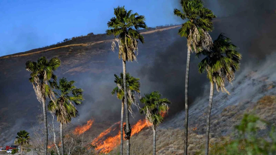 California'da çıkan yeni yangın kontrol altına alındı, 1 kişi gözaltında