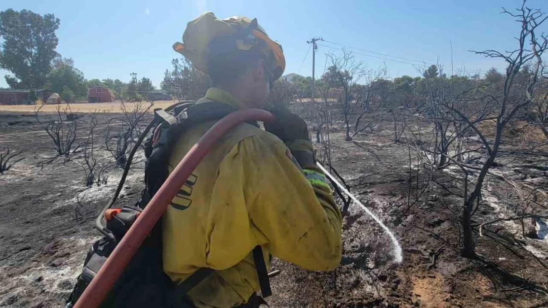 California'da orman yangını: 3 bin 400 hektar alan yandı