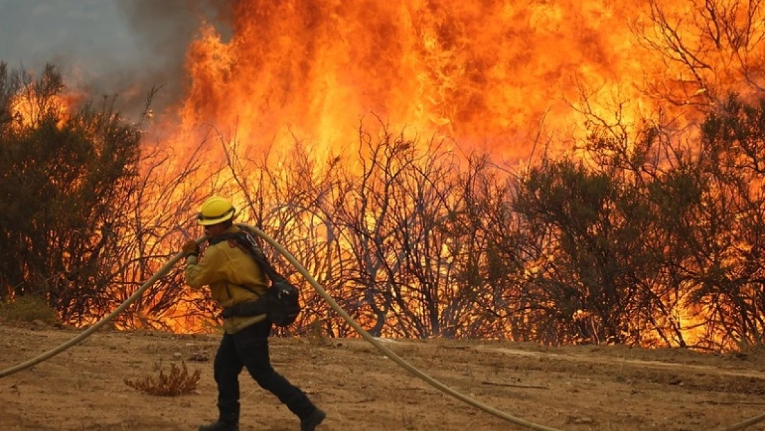 California'da orman yangınları sürüyor