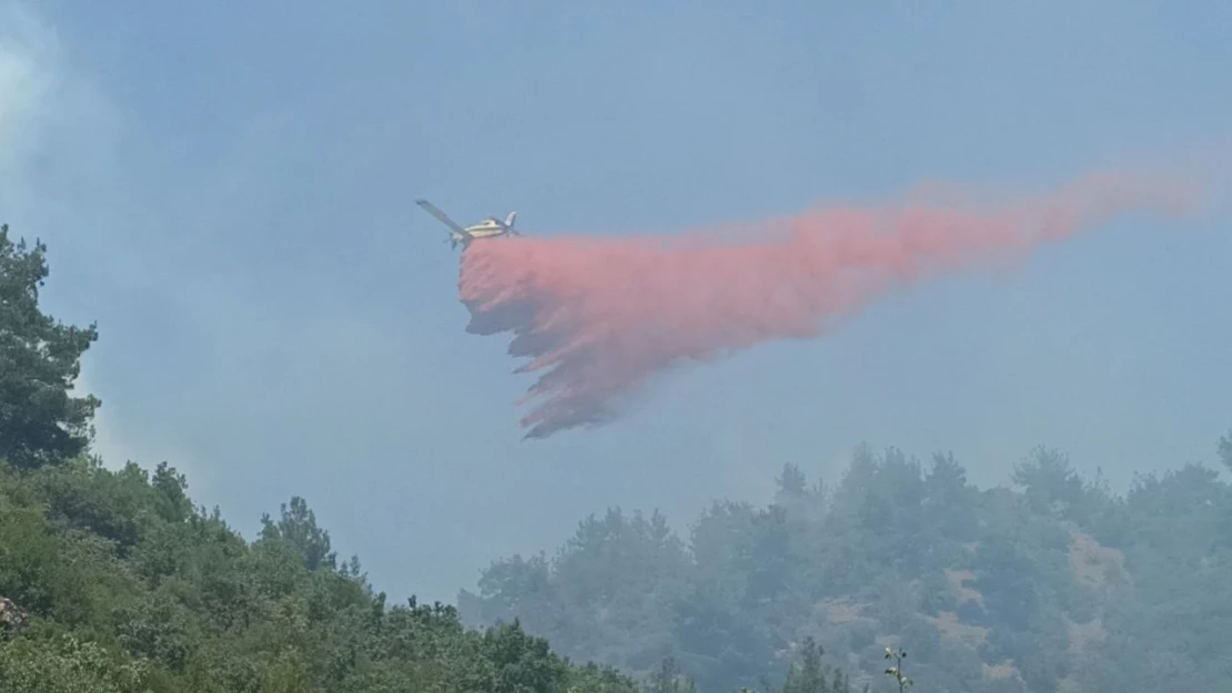 Çanakkale'de 3 gündür devam eden orman yangınına müdahale sürüyor