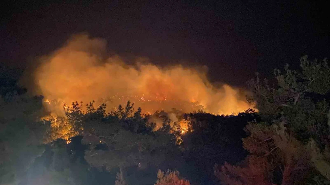 Çanakkale'de orman yangını