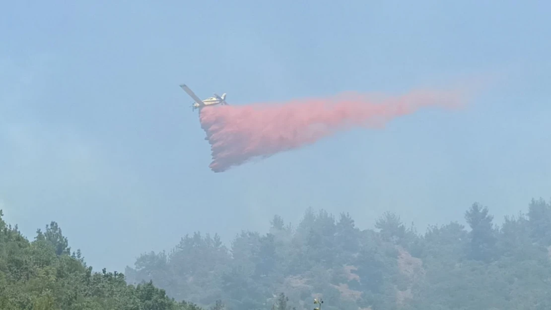 Çanakkale'deki orman yangınlarında hava araçları bin 800 sorti yaptı, 4 bin 900 ton su attı
