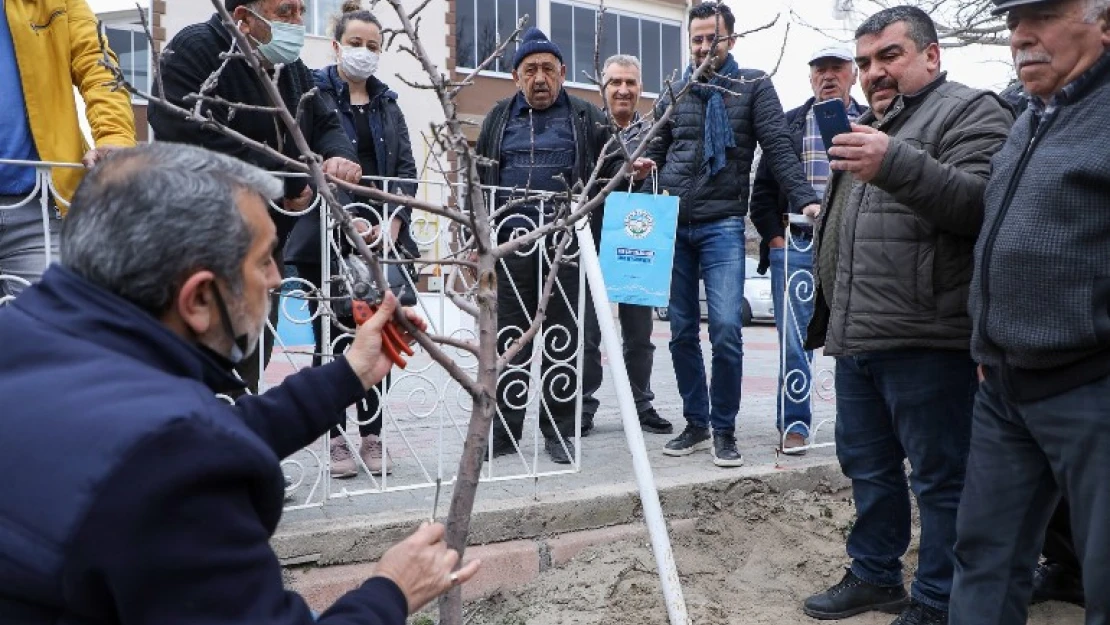 Çiftçilere uygulamalı aşı ve budama eğitimi