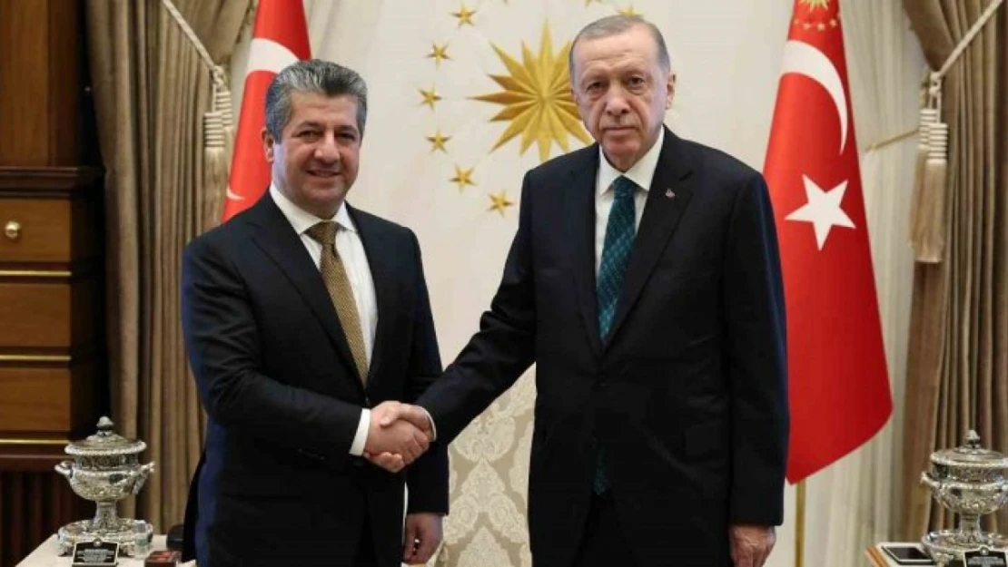 Cumhurbaşkanı Erdoğan, Peru Büyükelçisi Cesar Augusto De Las Casas Diaz'ı kabul etti