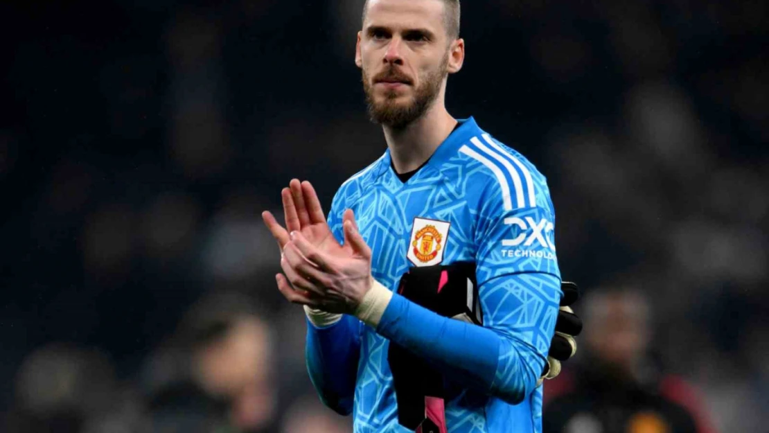 David de Gea, Manchester United'a veda etti