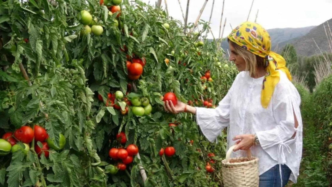 Desteklerinin öne çekilmesiyle çiftçilerimiz ekim döneminde üretim yapabilecek