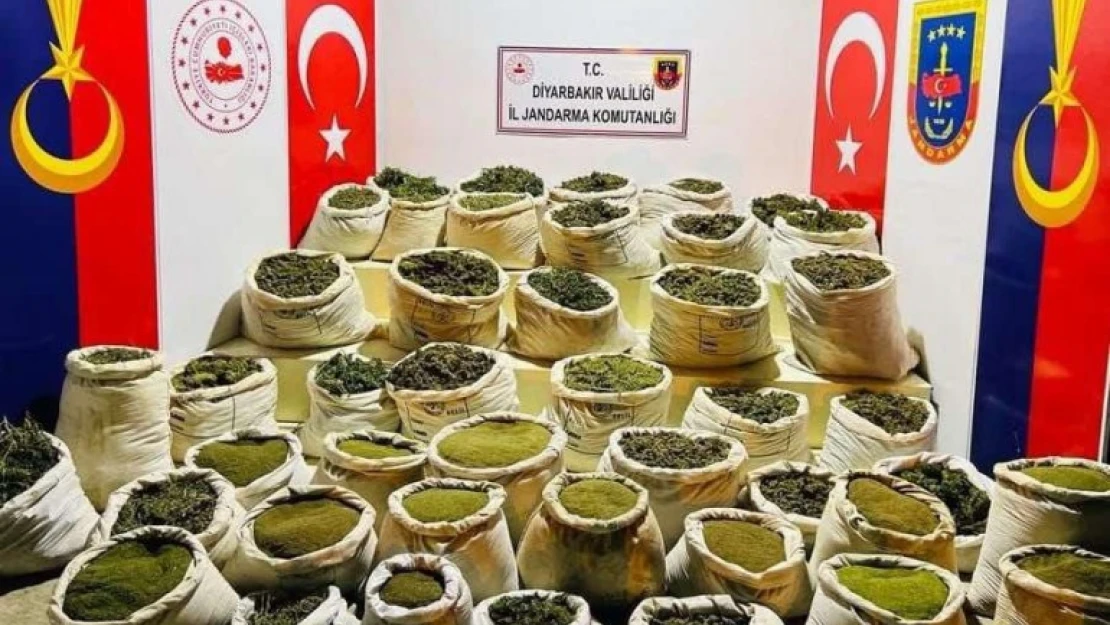 Diyarbakır'da milyonlarca kök uyuşturucu madde ele geçirildi