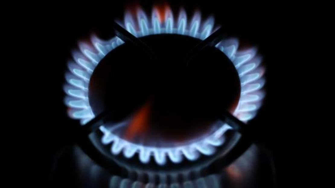 Doğal gaz talebimizin yüzde 28'ini konutlarda ısınma maksatlı kullanıyoruz.