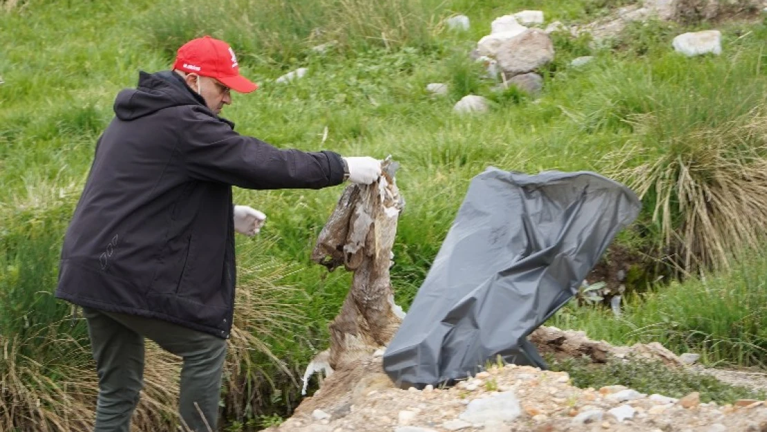 Doğaseverler  Erciyes'in temizliğine el attı.