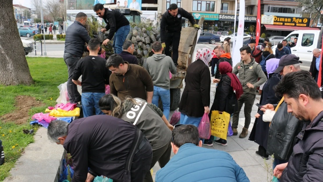 10 bin fidan ücretsiz dağıtıldı