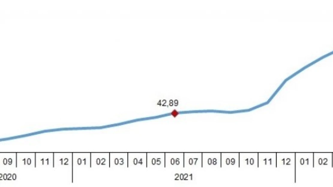 Enflasyon haziranda yüzde 78,6'ya çıktı