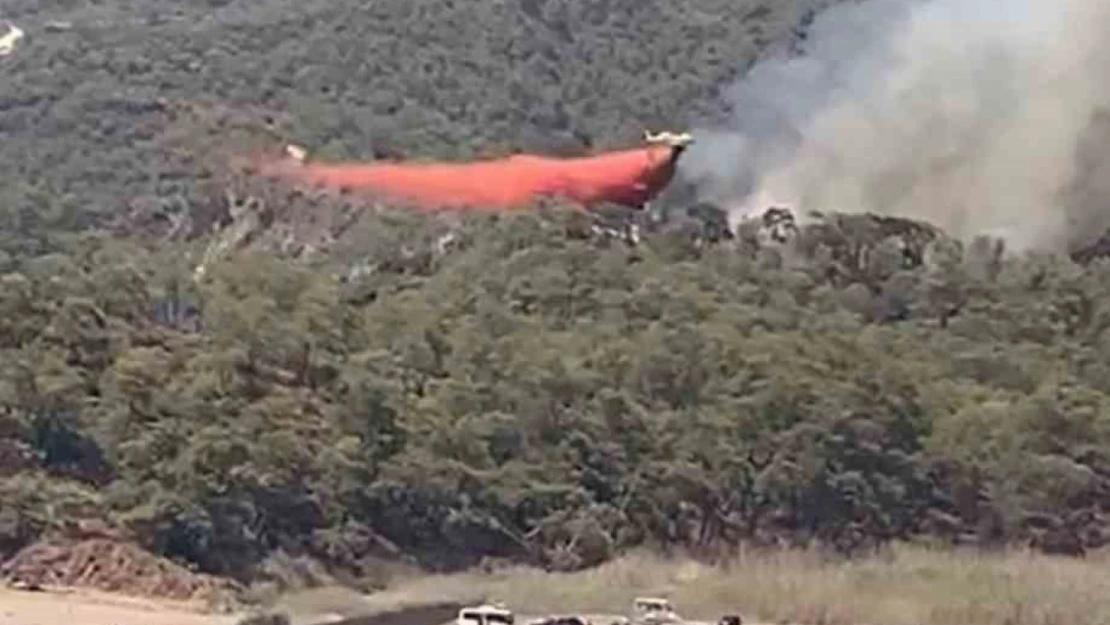 Fethiye'de orman yangını