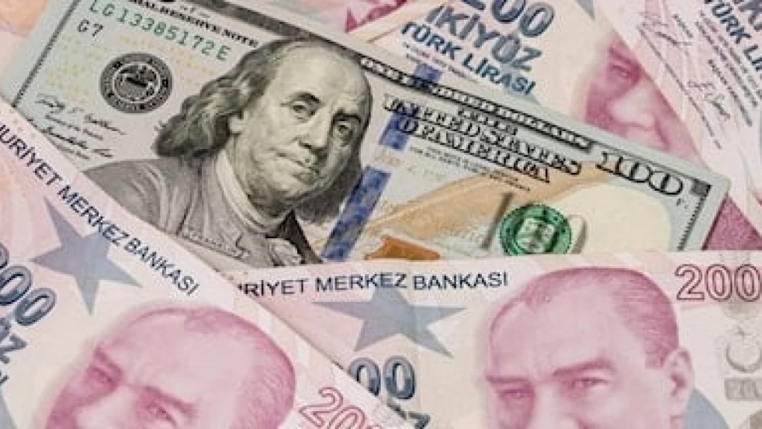 Finansal kesim dışı firmaların ne döviz pozisyonu açığı 2,42 milyar dolar arttı