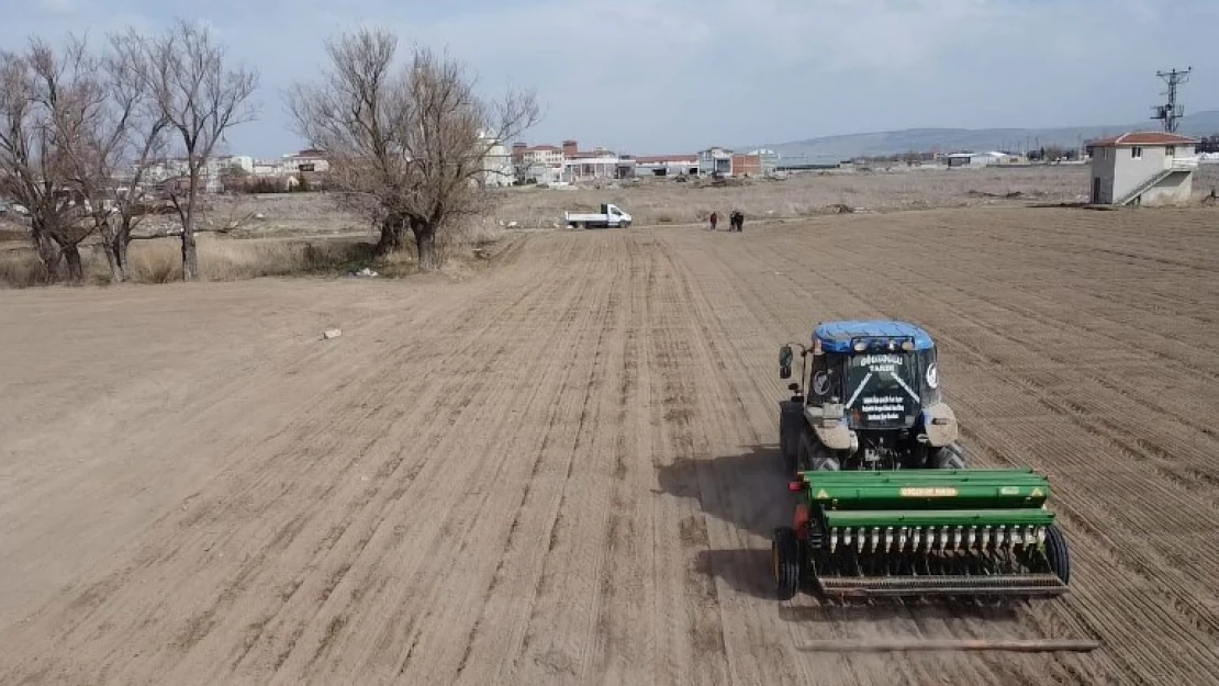 Fiyatı yükselişe geçince üreticiler bu yıl tarlalarına soğan ekmeye başladı