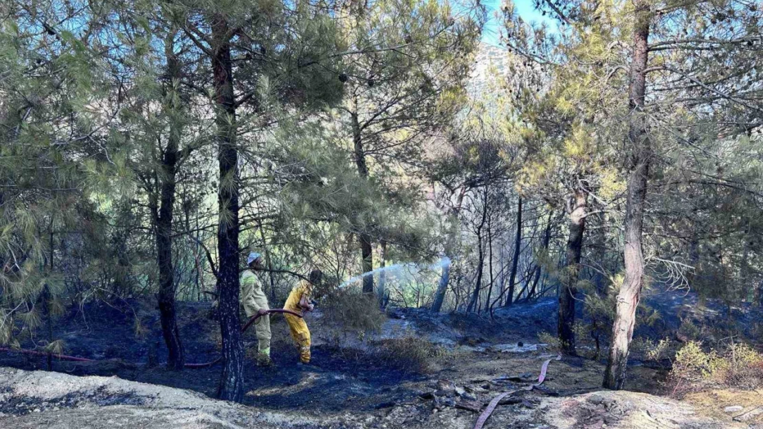 Hatay'da çıkan orman yangını kontrol altına alındı