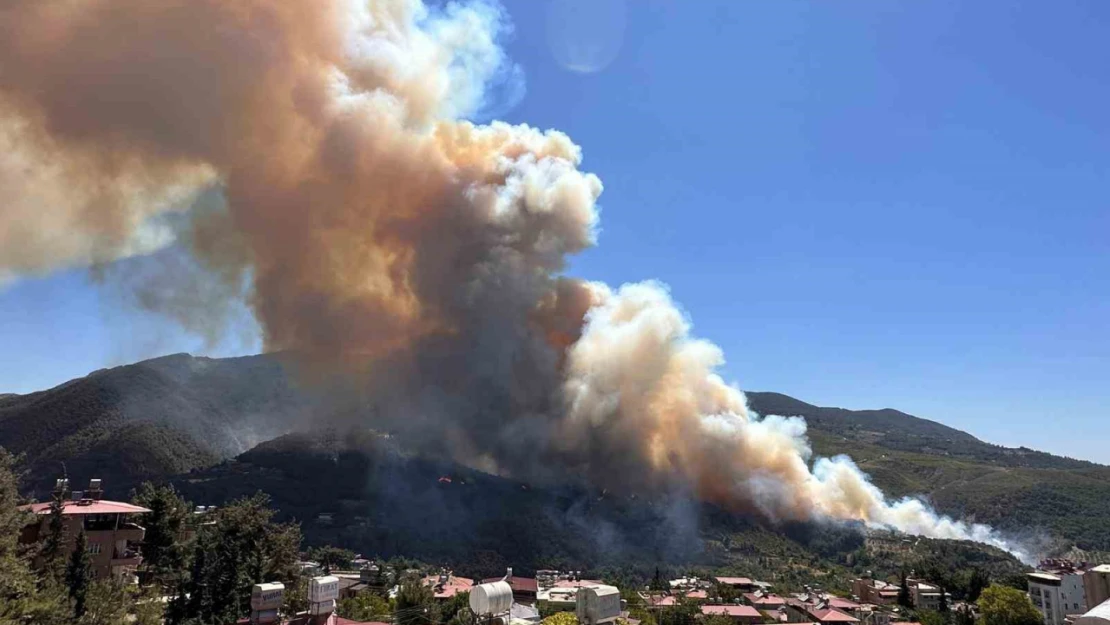 Hatay'da orman yangını