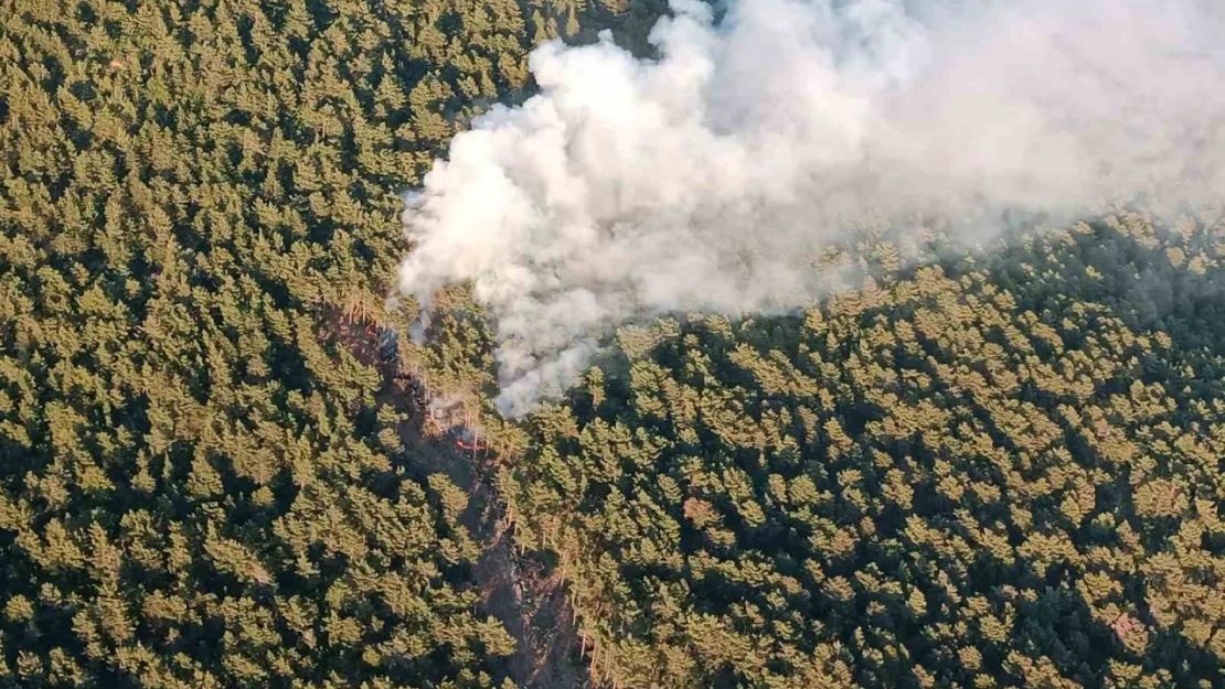 Hatay'da orman yangınına havadan ve karadan müdahale sürüyor