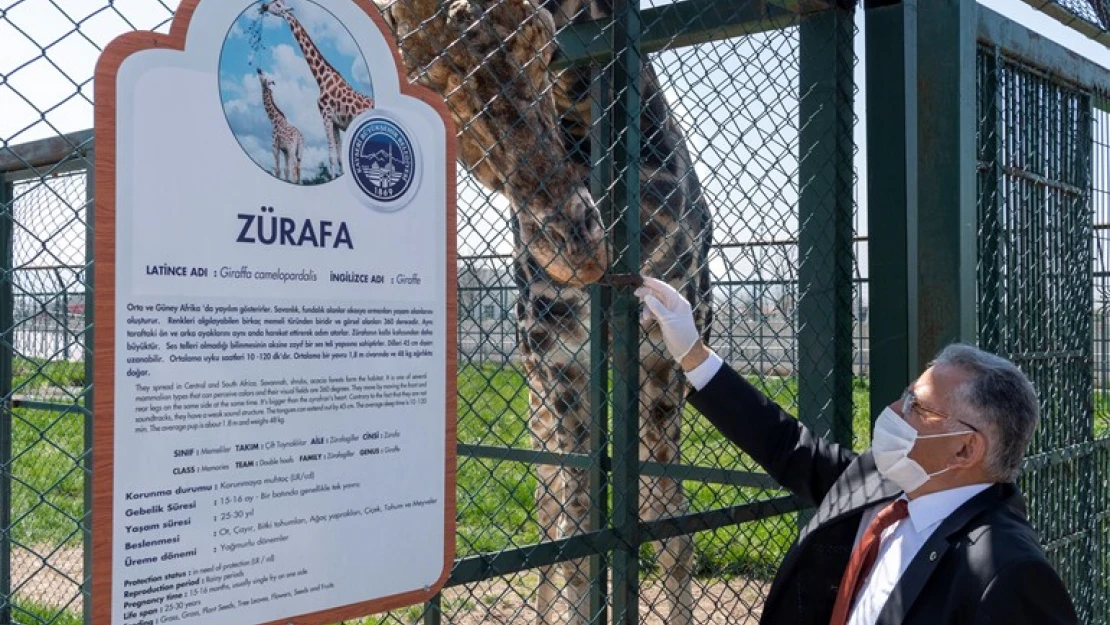 Hayvanat bahçesi bayramda ücretsiz