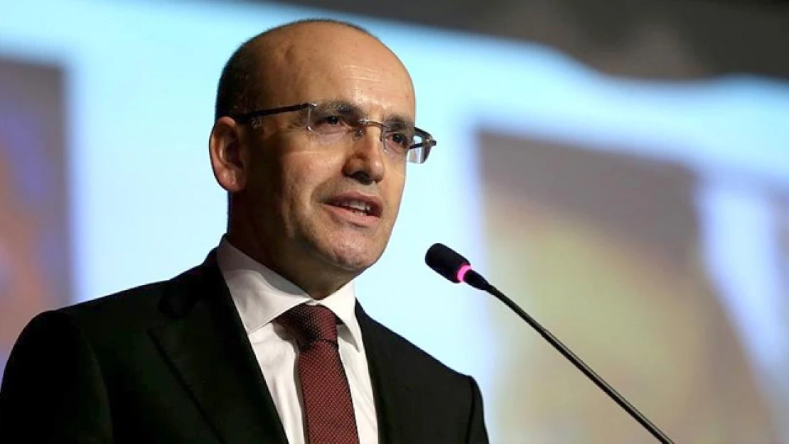 Hazine ve Maliye Bakanı Mehmet Şimşek: Dezenflasyon zaman ve kararlılık gerektiriyor