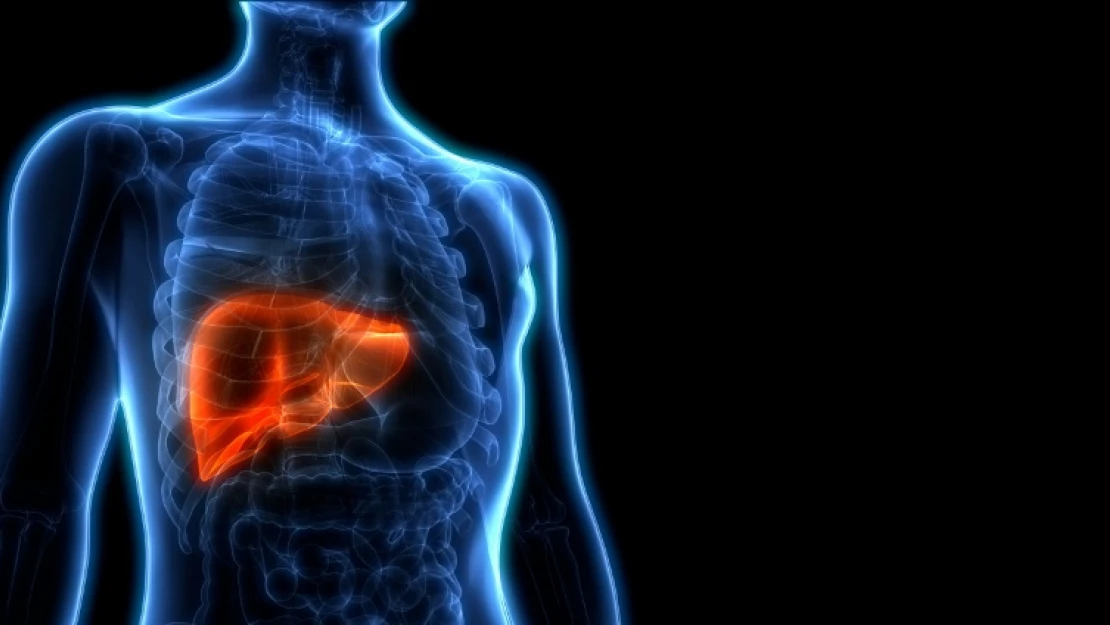 Hepatit B ve C karaciğer kanseri için risk oluşturuyor