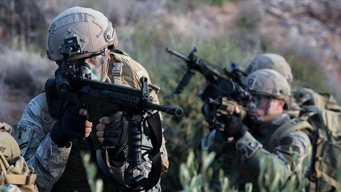 İçişleri Bakanlığı: Muş'ta 513 personelin katılımıyla İsmail Moray Operasyonu başlatıldı