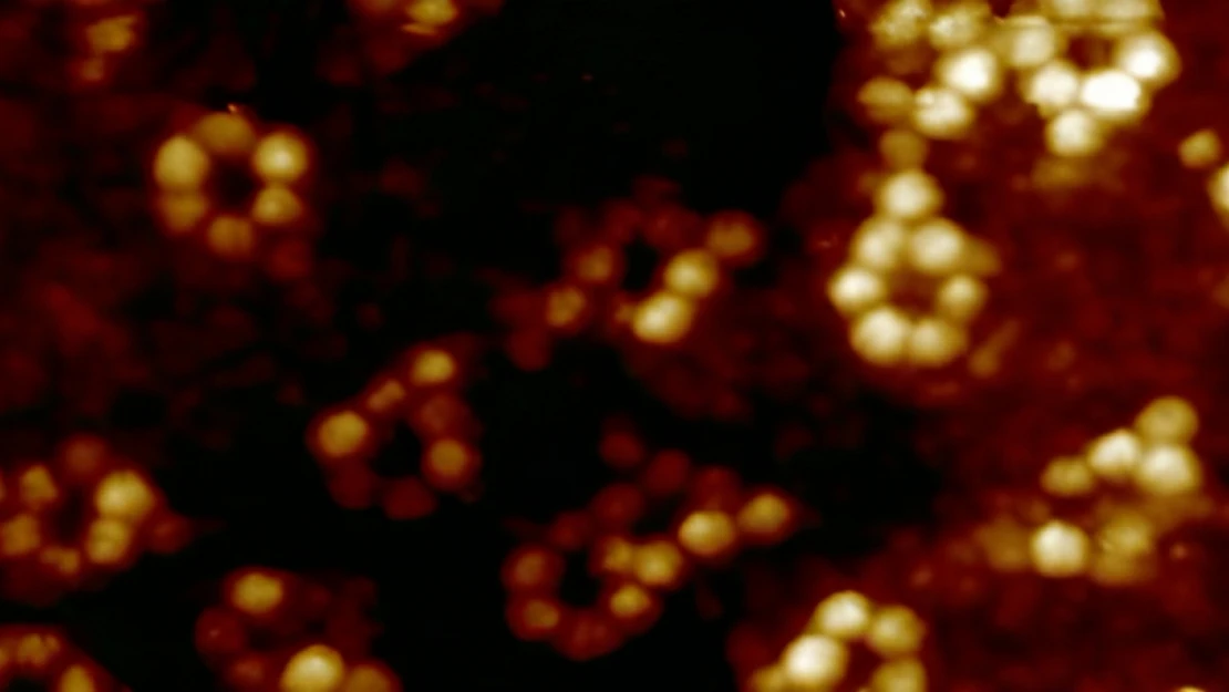 İlk kez tek bir atomun 'röntgeni çekildi