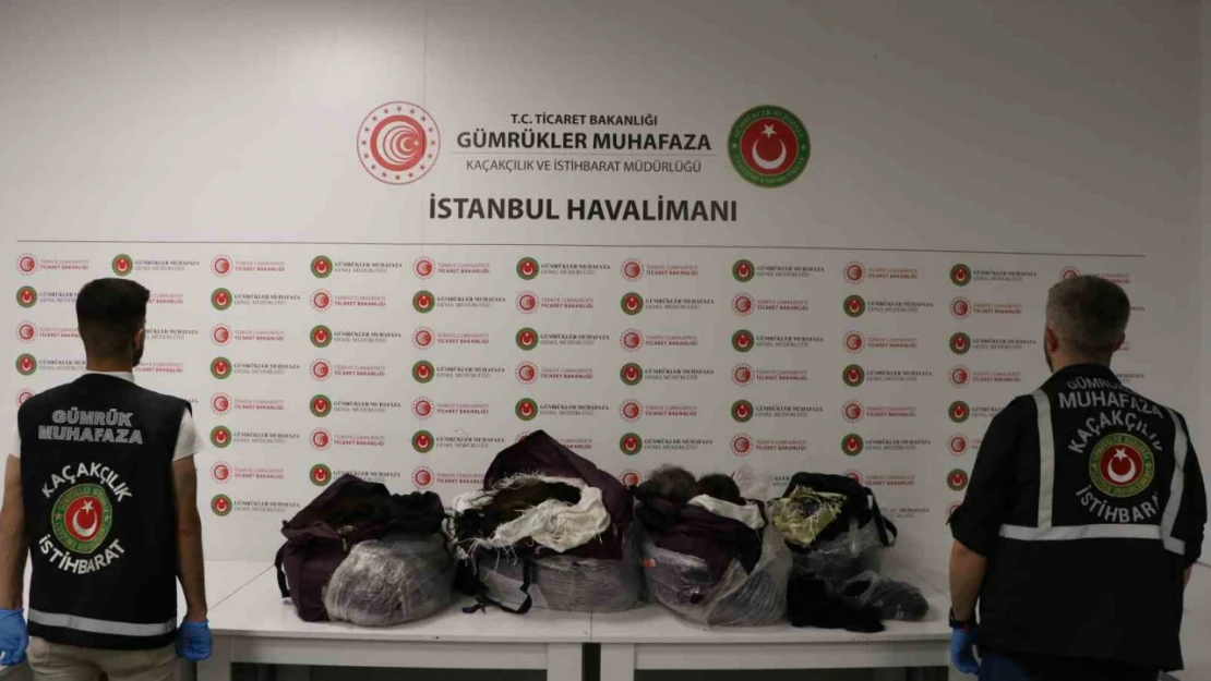 İstanbul Havalimanı'nda 93 kilo insan saçı ele geçirildi