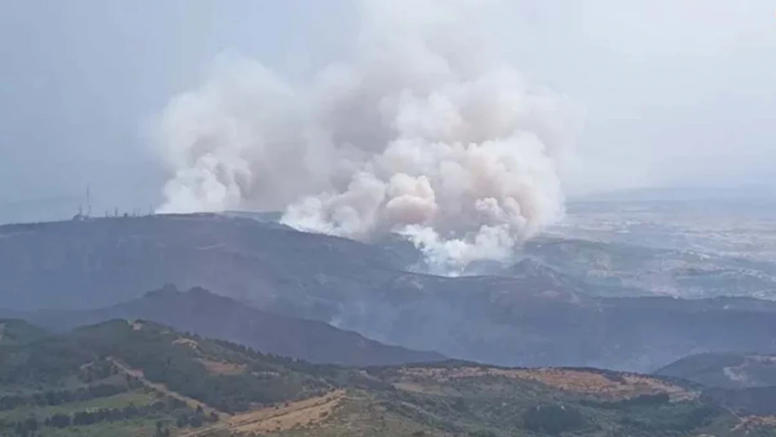 İtalya'nın Sardunya Adası'nda yangın: 4 kişi yaralandı, 600 kişi tahliye edildi