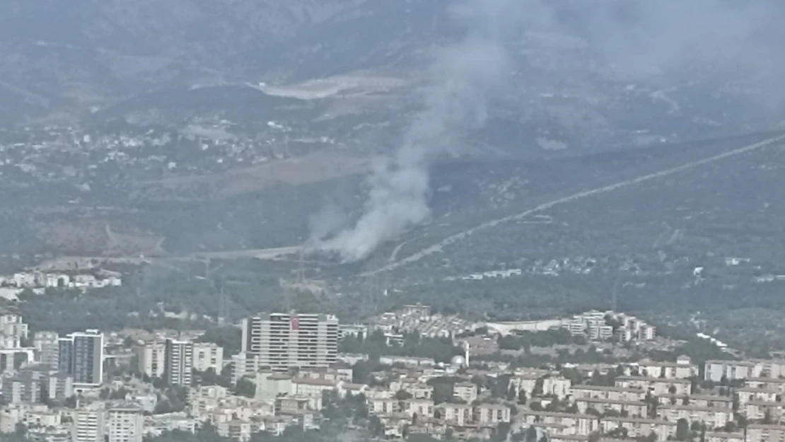 İzmir'de ikinci orman yangını kontrol altında