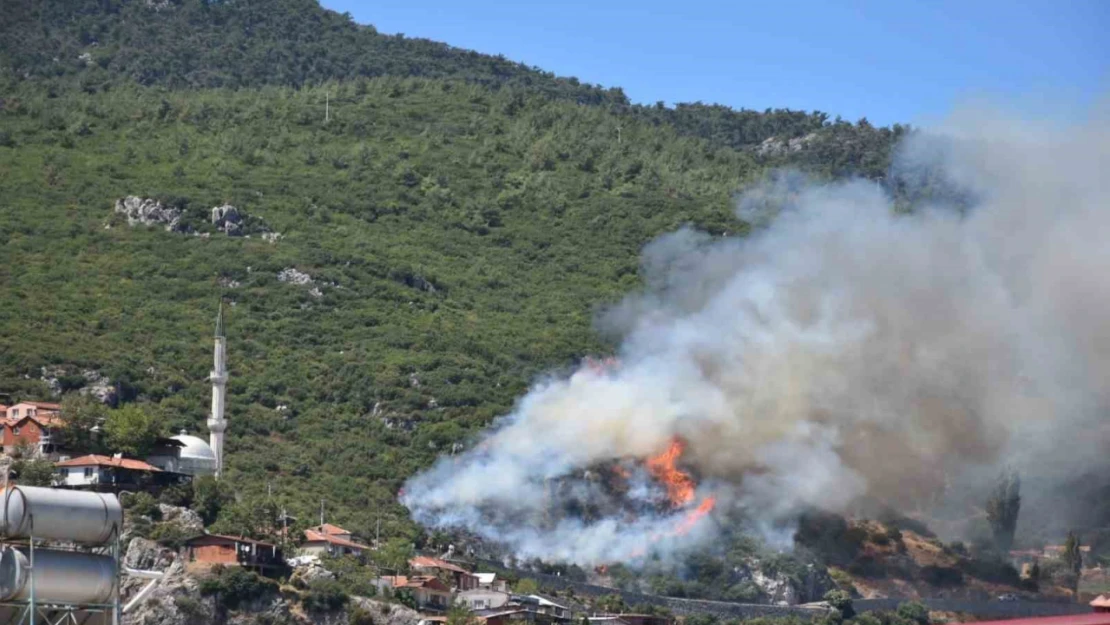 İzmir Kemalpaşa'da orman yangını