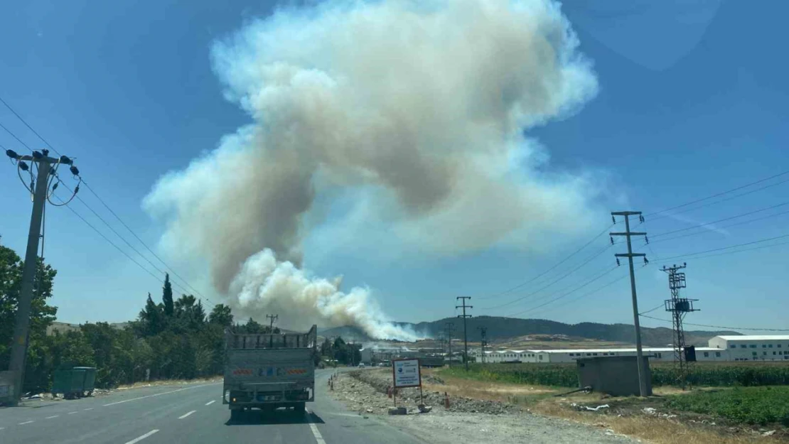 Kahramanmaraş'ta orman yangını