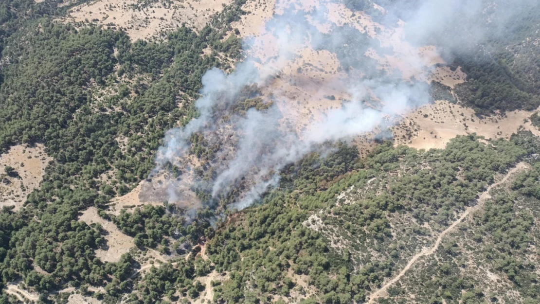 Kaş'taki orman yangını kontrol altına alındı